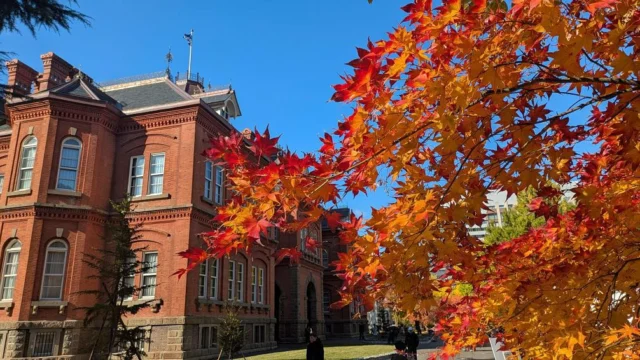 国指定重要文化財｜北海道庁旧本庁舎（赤れんが庁舎）国指定重要