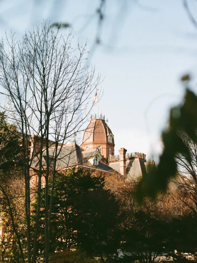 国指定重要文化財｜北海道庁旧本庁舎（赤れんが庁舎）国指定重要文化財